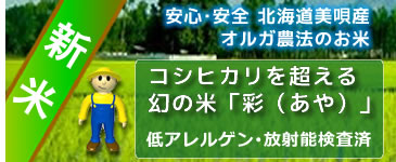 ���l�ē���