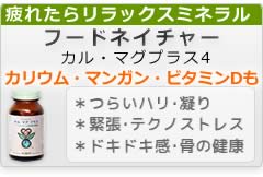 �t�[�h�l�C�`���[�������h�{�f�J���}�O�v���X4�ڍ׃y�[�W