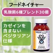 �t�[�h�l�C�`���[���_�ې���