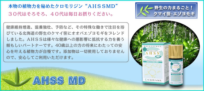 本物の植物力クマ笹AHSS