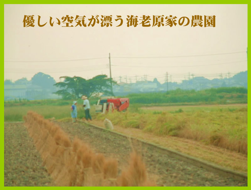 海老原農園の風景