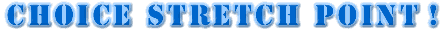 �X�g���b�`�S�J�^���O