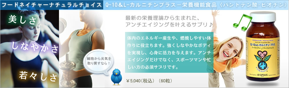 �t�[�h�l�C�`���[�i�`�������`���C�XQ-10��L-�J���j�`���v���X�|�h�{�@�\�H�i�q�p���g�e���_�E�r�I�`���r
