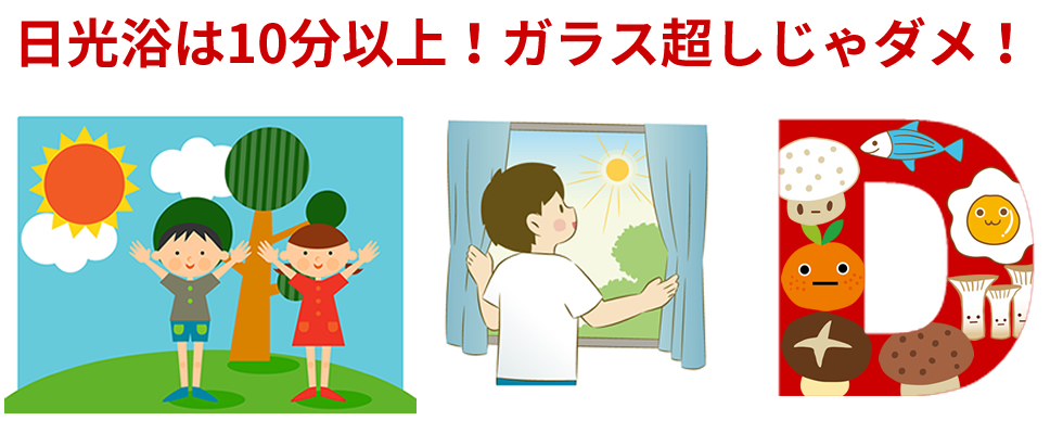 ビタミンD詳細