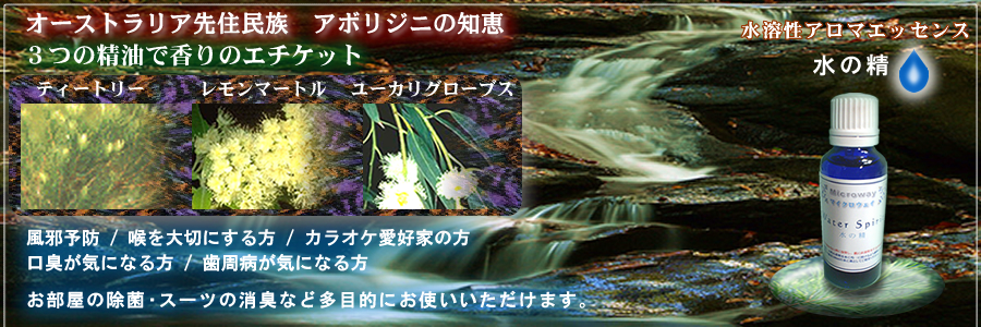 A}EH[^[GbZX̐